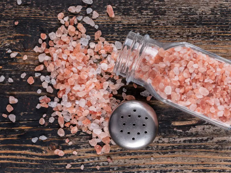 Investigación PUCE sobre la SAL