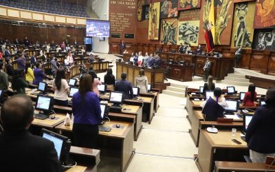 Asambleístas: ¿cuántos son y por quién votar?