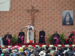 papa, puce, laudato si