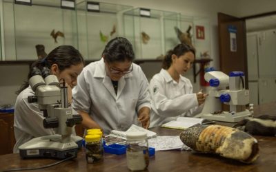 Únete a los más de 110 grupos de investigación de la PUCE