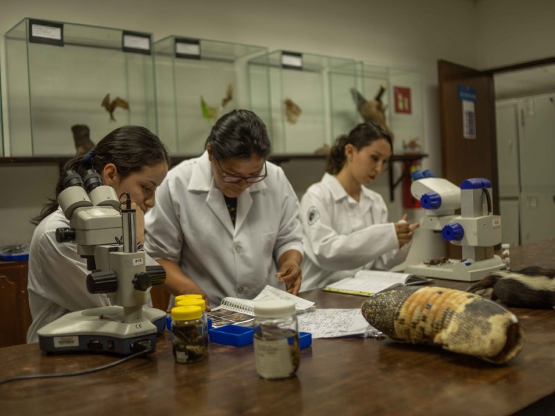 Únete a los más de 110 grupos de investigación de la PUCE