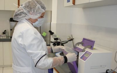 PUCE cuenta con laboratorios clínicos para la comunidad