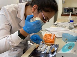 Tosferina, investigación Ecuador