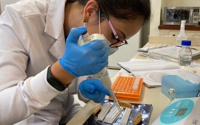 Tosferina en Ecuador: investigadores PUCE alertaron el riesgo en 2018