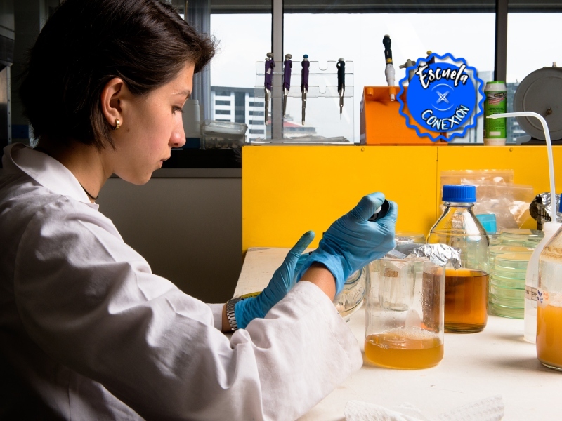 Gana una beca para estudiar Biología, Microbiología o Ciencia de Datos
