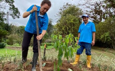 Alcanzamos los primeros 200 mil árboles de la meta de un millón