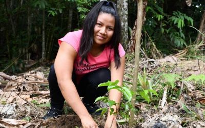 PUCE inicia plan para restaurar los ecosistemas afectados en los incendios