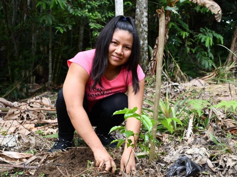 1 millón de árboles, hasta 2024, para reforestar Ecuador