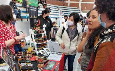 Teleamazonas: PUCE organiza la feria de emprendimiento Maki Solidaria 