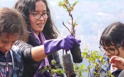 La Prensa: todos en defensa del medio ambiente