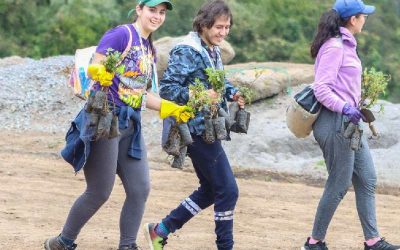 Más de 200 mil personas se beneficiaron de proyectos de vinculación PUCE