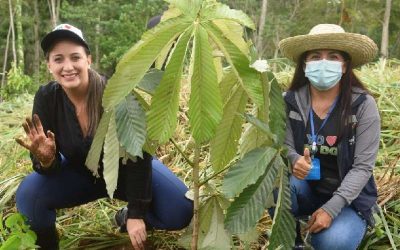 Diario de Portoviejo: Siembra árboles en la vía al sector de San Juan