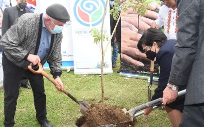 Siembra un árbol para combatir el cambio climático