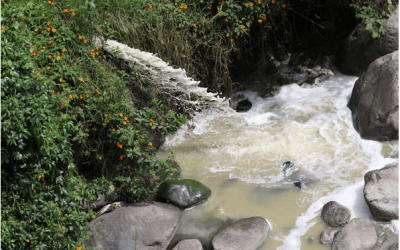 El Norte: Valorar y recuperar al río Tahuando