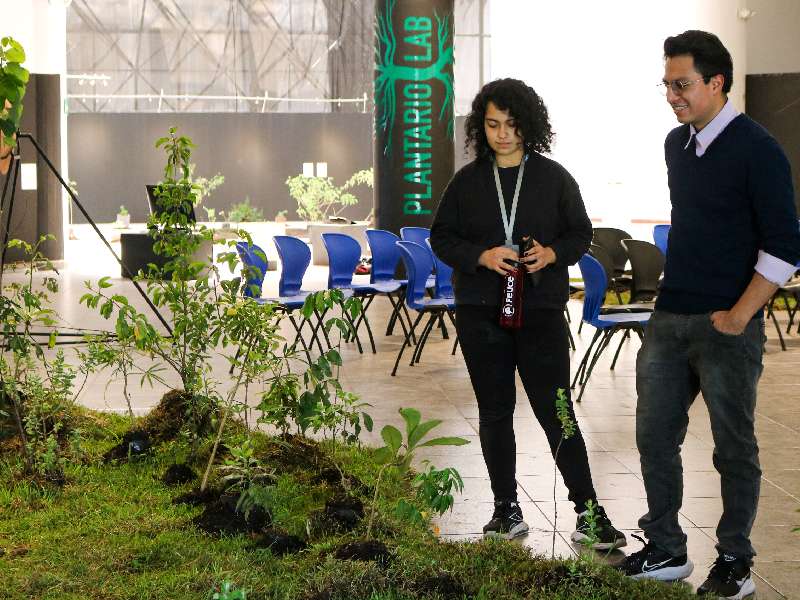 Plantario Lab, un espacio artístico para la reflexión ambiental