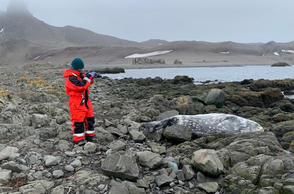 Camila Yánez, 49 días en la Antártida para investigar el cambio climático