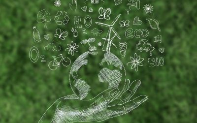 La economía circular: pieza clave del desarrollo sostenible
