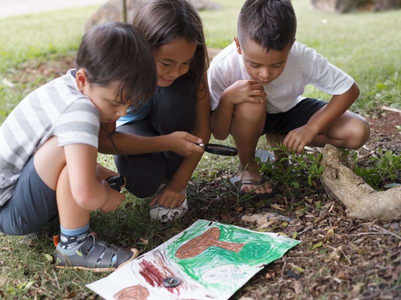 Educación ambiental desde la infancia: sembrando semillas de sostenibilidad 