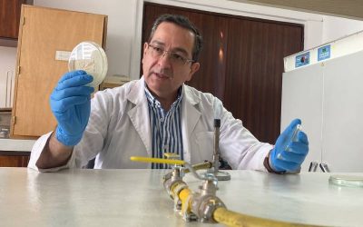 El Universo: Científico ecuatoriano lleva su investigación de nanocelulosa de tagua a Estados Unidos