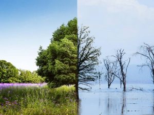 PUCE brinda aporte para políticas públicas contra cambio climático