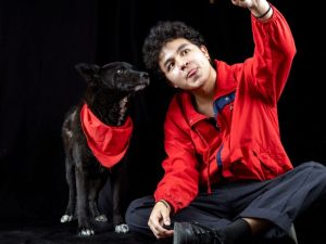 Mascotas humanizadas: ¿cuáles son las consecuencias?