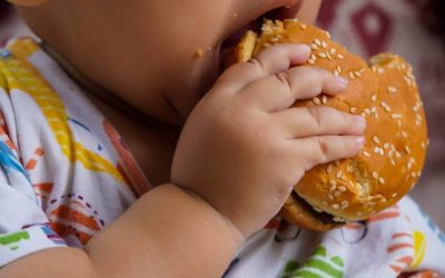 Cuatro de cada 10 niños ecuatorianos sufre de sobrepeso y obesidad