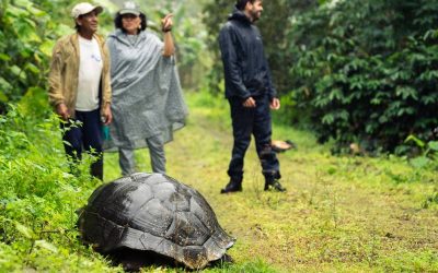 ¿Te interesa la sostenibilidad y la socio ecología?: la PUCE te lleva a las Galápagos 