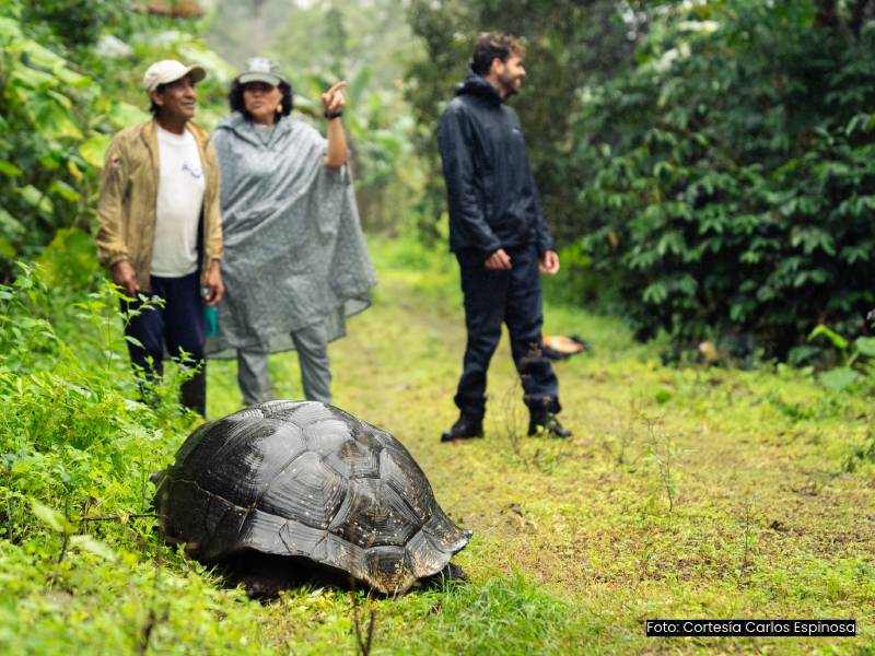 ¿Te interesa la sostenibilidad y la socio ecología?: la PUCE te lleva a las Galápagos 