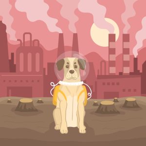 Contaminación de aire , cuidado para las mascotas