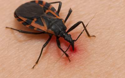 PUCE: 16 años de lucha contra el Chagas