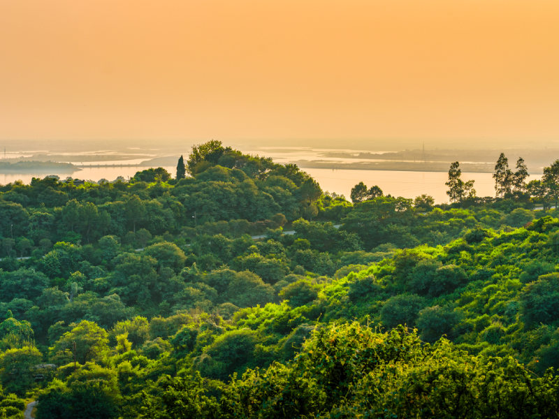 Revitalizar las lenguas para conservar la biodiveridad: desafìos en la Amazonía