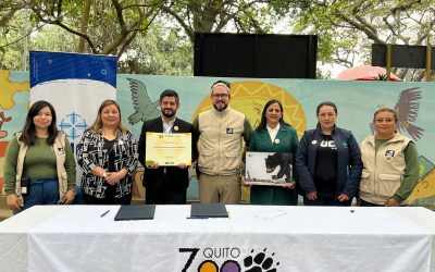 ¡Realiza tus prácticas e investigaciones en el Zoo de Quito!