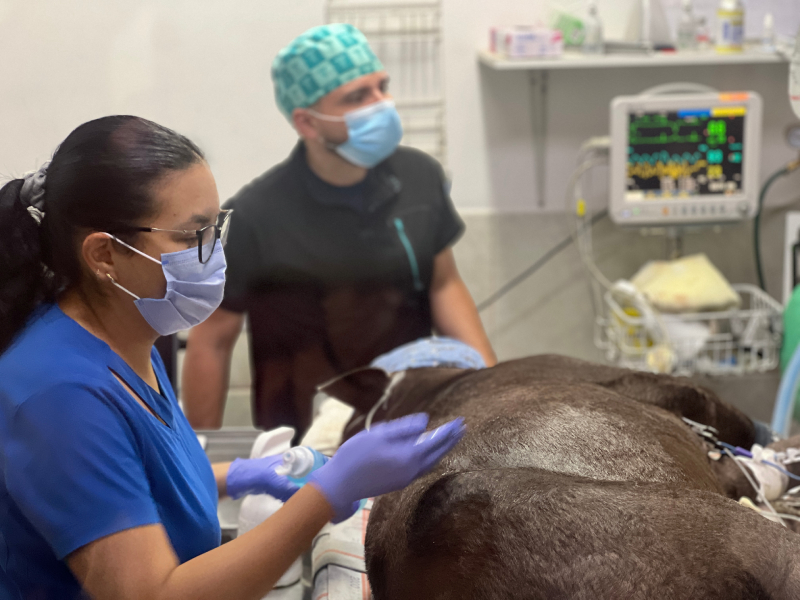 Durante la visita, el equipo del Zoo de Quito expuso parte de su trabajo.
