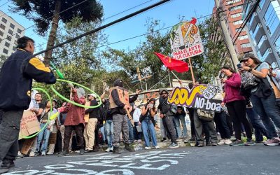 Corte Constitucional vs. Ejecutivo: ¿está en juego la democracia?  