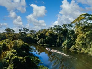 Investigadora PUCE obtuvo USD 2 millones para investigación en conservación en la Amazonía