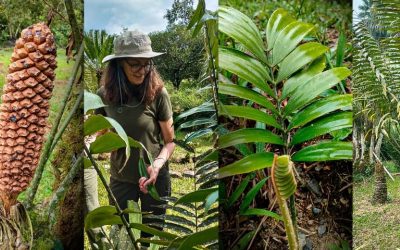 PUCE Santo Domingo ingresa a red mundial de conservación botánica