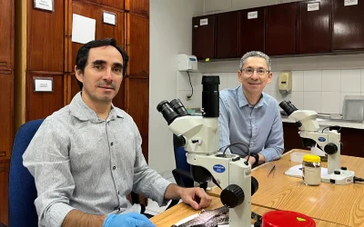 Dos biólogos PUCE entre los científicos más influyentes del mundo