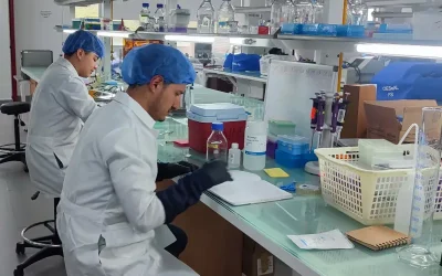 Investigación PUCE busca frenar el Chagas desde el interior del insecto
