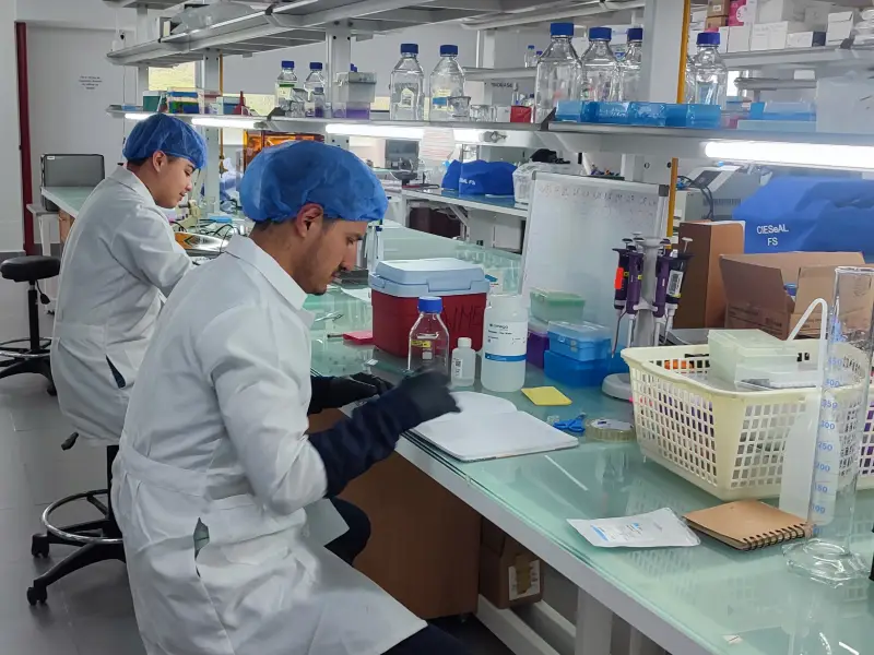 Chagas PUCE microbiota